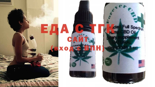 крисы Тайга
