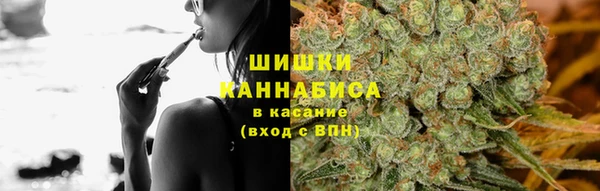 СК Тавда