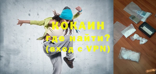 крисы Тайга