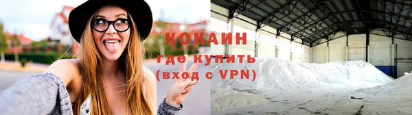 крисы Тайга