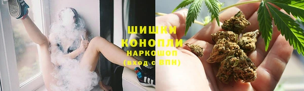крисы Тайга