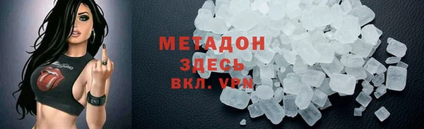 крисы Тайга