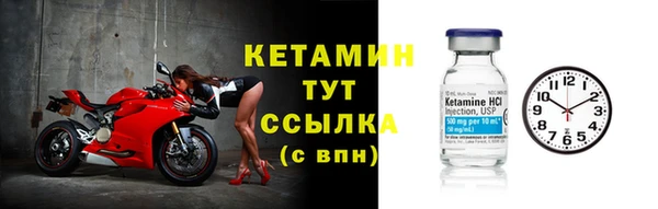 крисы Тайга
