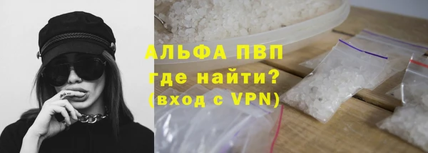 СК Тавда