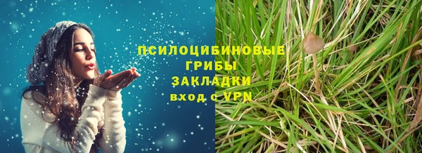 СК Тавда