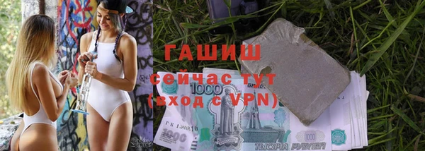 крисы Тайга