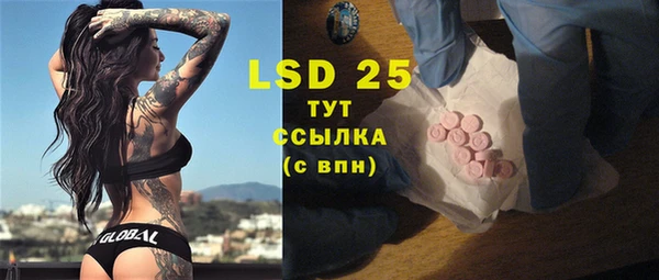 крисы Тайга