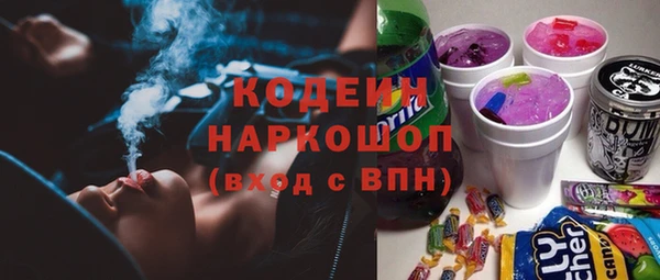 СК Тавда